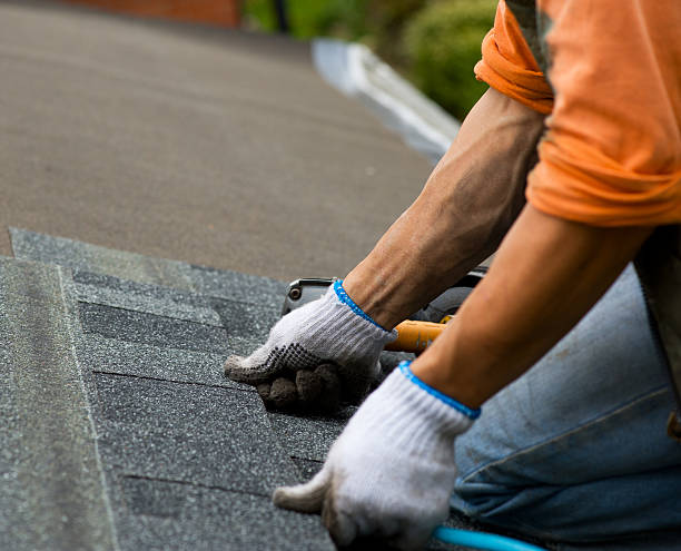 Best Roof Insulation Installation  in Val Verde, CA